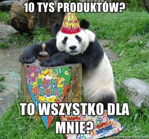 Google Panda kocha Duplicate Content